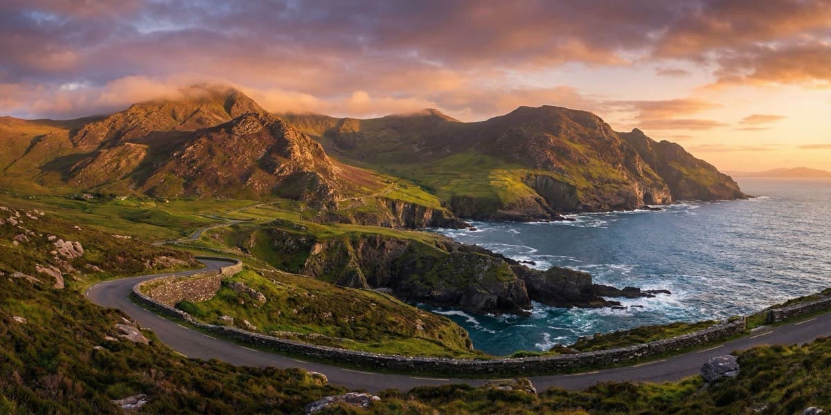 Niamh Fitzgerald cover