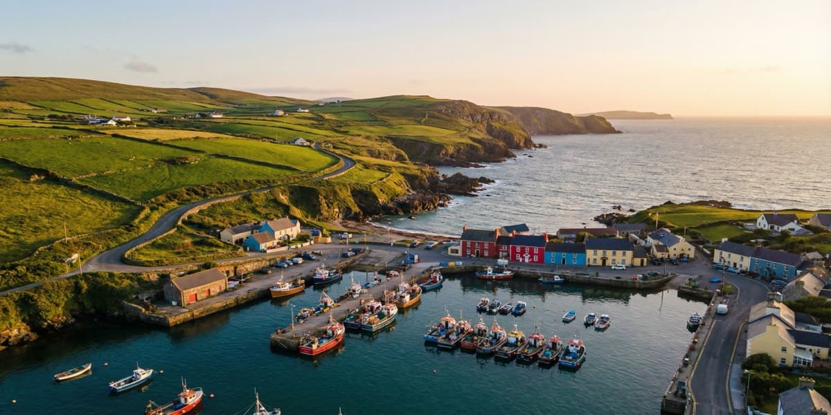 Tadhg O'Sullivan cover