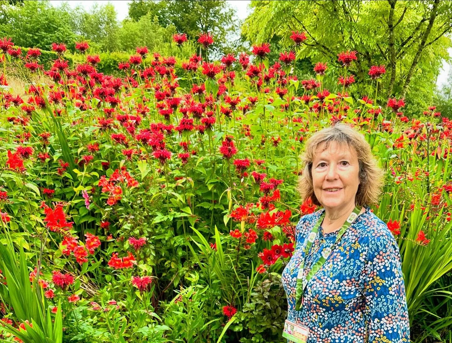 Dairine Nuttall cover