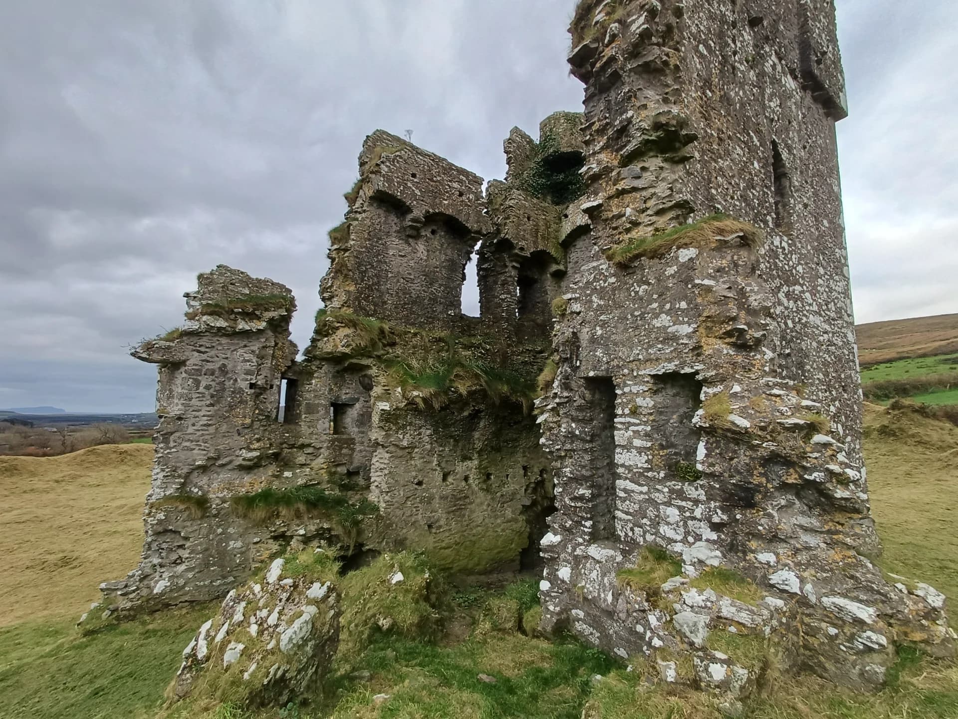 Judith ( Judy ) O'Shea cover